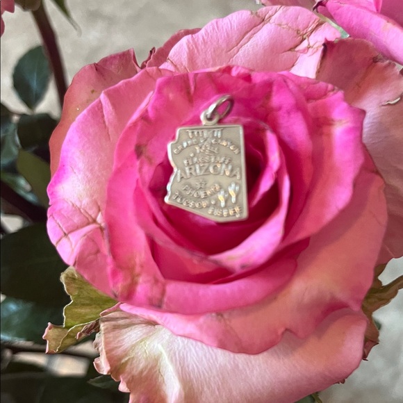 Jewelry - Silver Arizona Charm Pendant